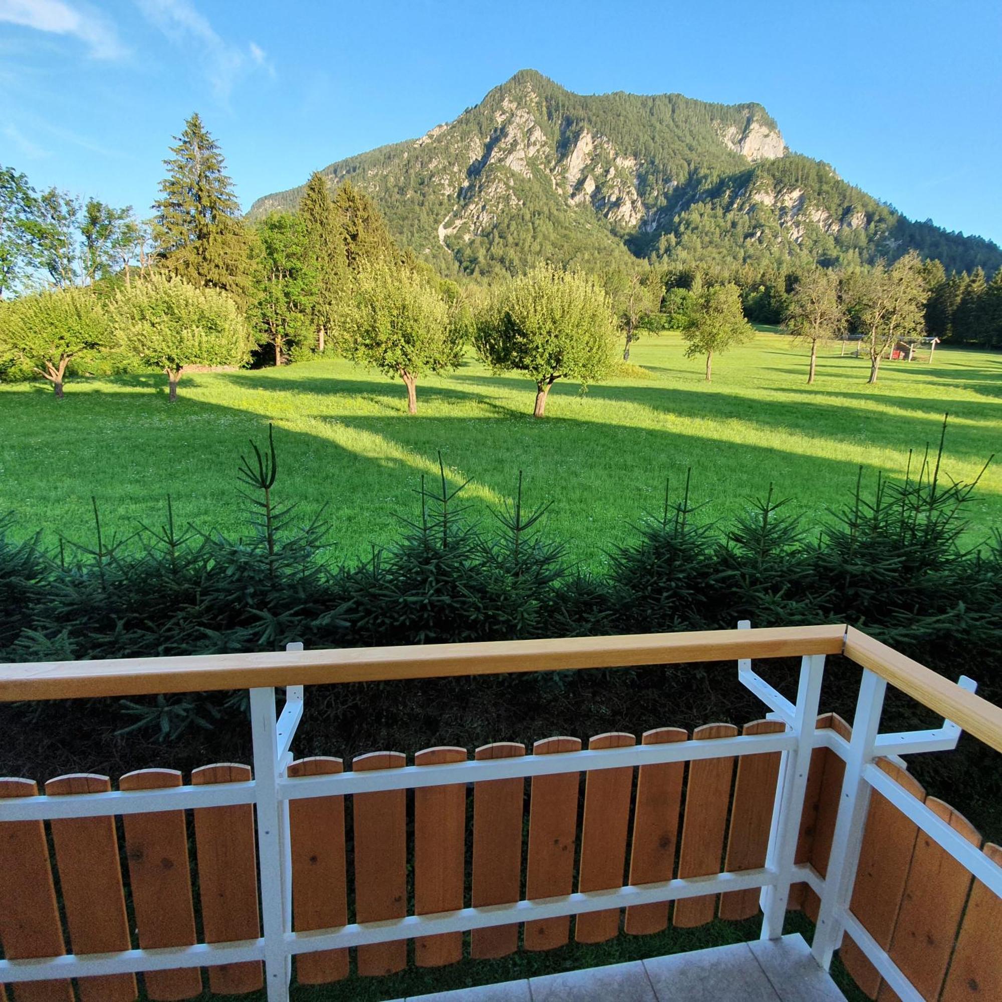 Apartma Rozle Mojstrana Exterior photo